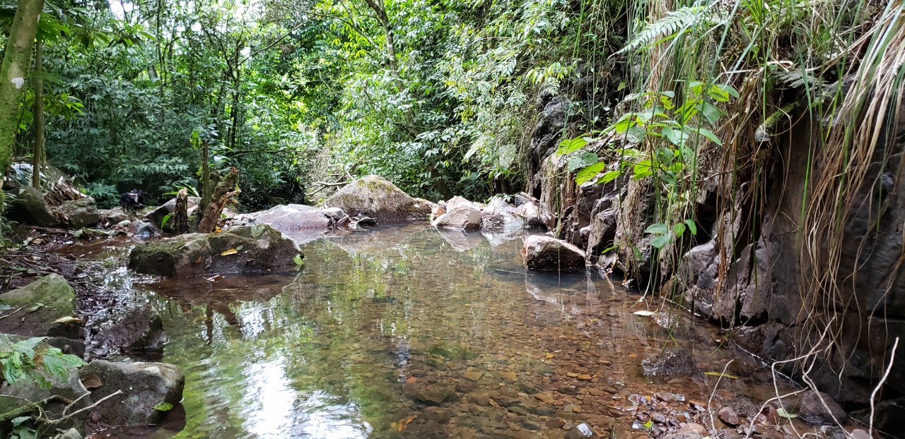Rio Cachoeira da Pedrinha